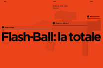 Flash-Ball: 15 ans de documents révélés